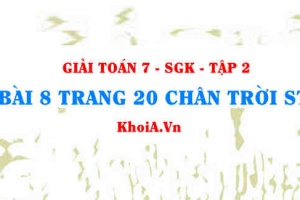 Bài 8 trang 20 Toán 7 Chân trời sáng tạo Tập 2